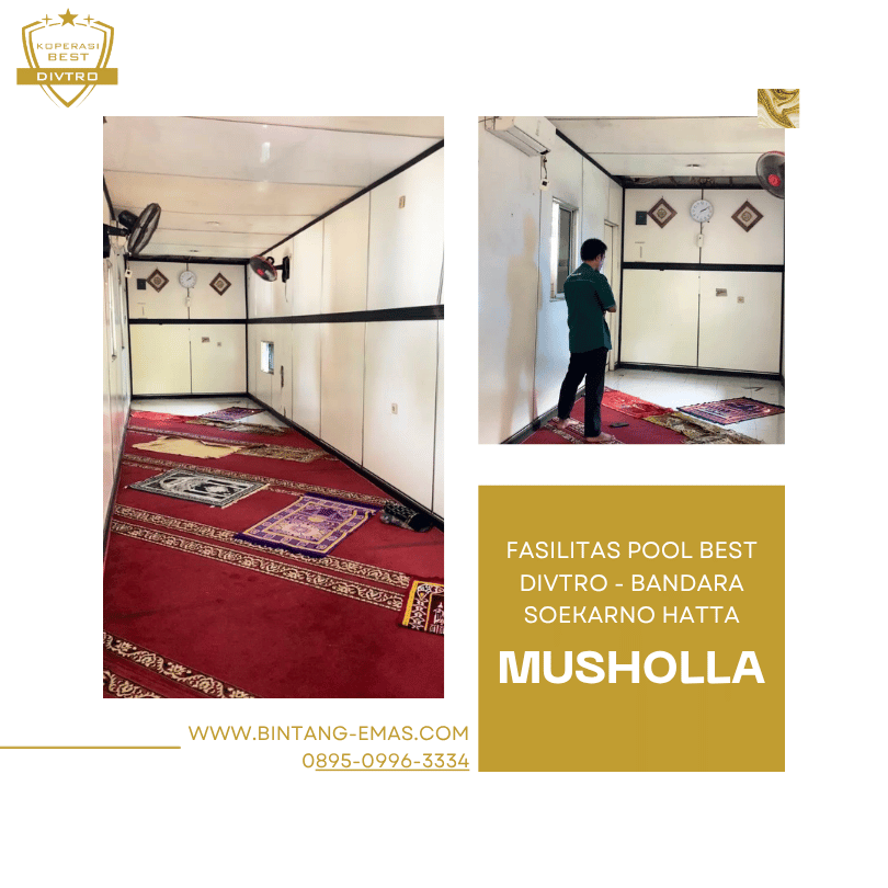 POOL BEST DIVTRO - MUSHOLLA