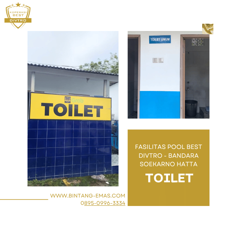 POOL BEST DIVTRO - TOILET